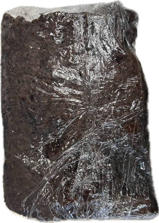 Grace's Amazin Brownie.